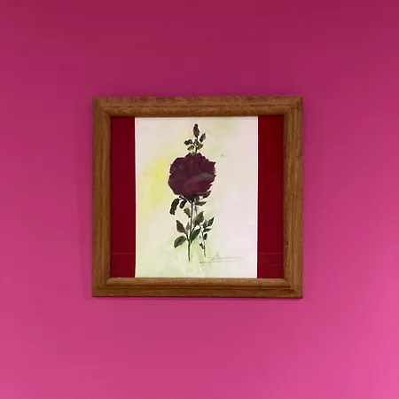 Quinta De Santana - Queimadas *