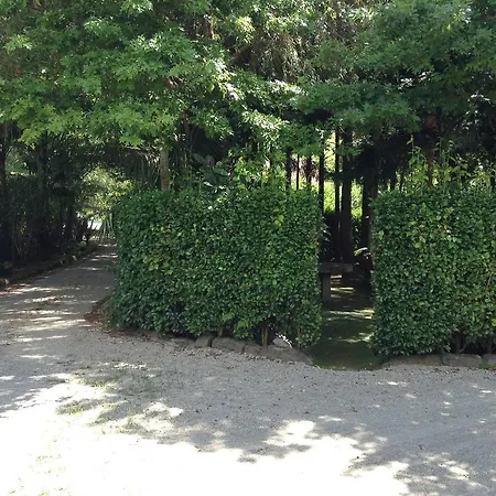 Quinta De Santana - Queimadas Фурнаш