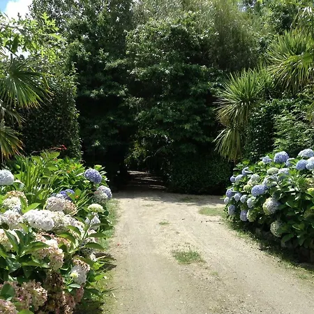 Quinta De Santana - Queimadas Гостевой дом *