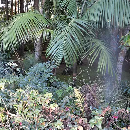 Quinta De Santana - Queimadas