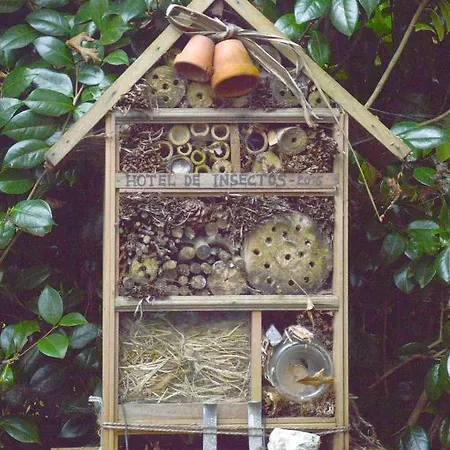 Quinta De Santana - Queimadas