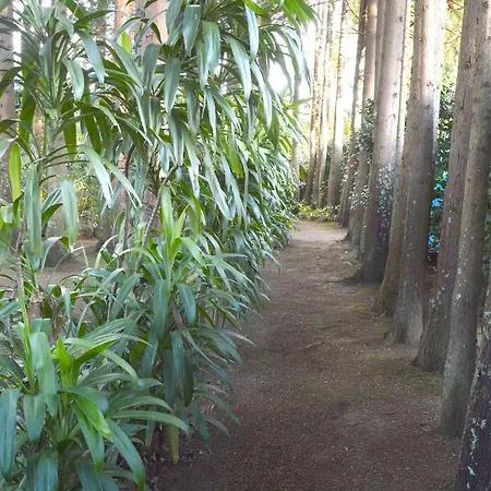 Quinta De Santana - Queimadas